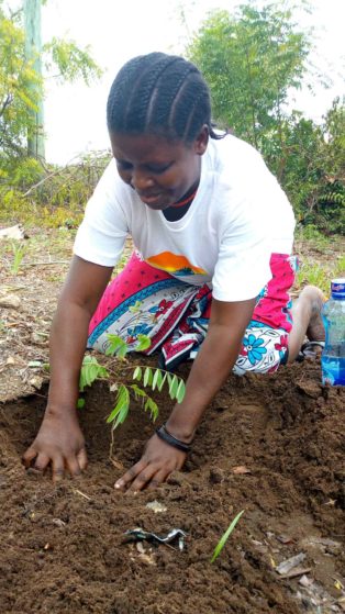 ree planting on 28th April 2018 at Kibarani School for the Deaf in Kilifi